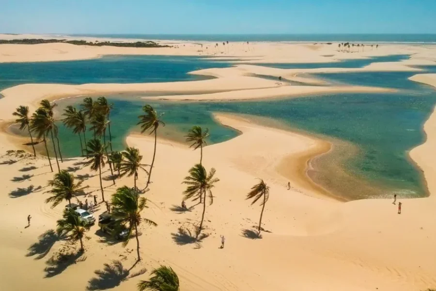 Aerial view of a delta of golden dunes, coconut palms and turquoise lagoons winding through the sand, with bathers and vehicles in the distance, on the coast of northeastern Brazil, Maranhão, Brazil.