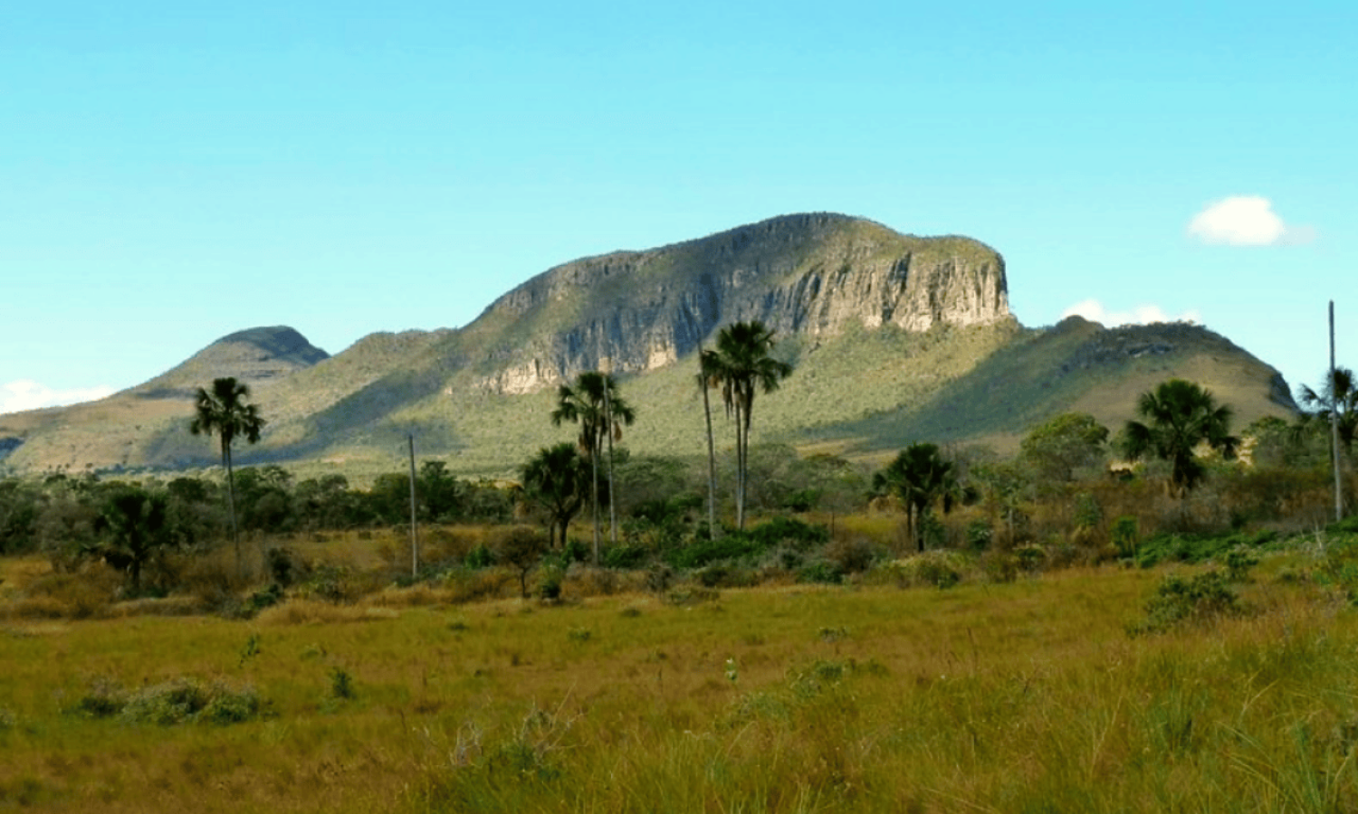 CV_Jardim de Maytrea_5