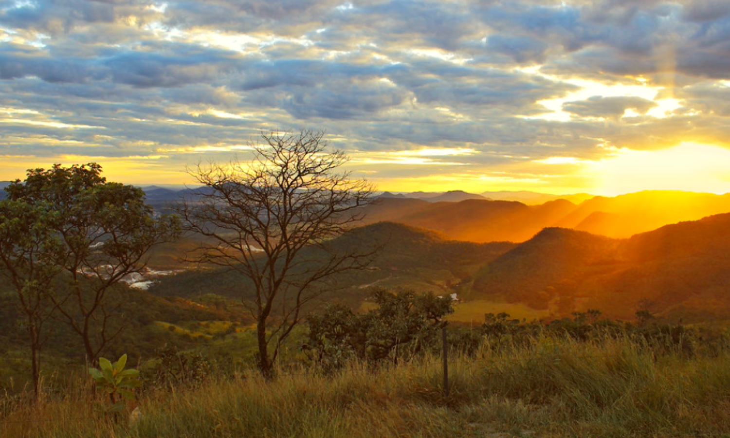 AD_Parque_Pireneus_3