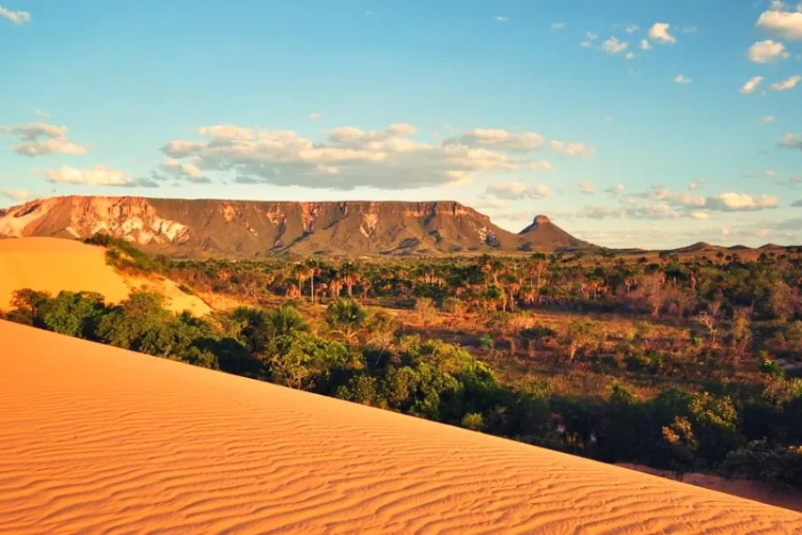 Eine orangefarbene Sanddüne im Jalapão im Vordergrund, mit einer weiten Ebene einheimischer Cerrado-Vegetation und tafelförmigen Felsformationen im Hintergrund, unter einem blauen Himmel mit Wolken, im Bundesstaat Tocantins, Brasilien.