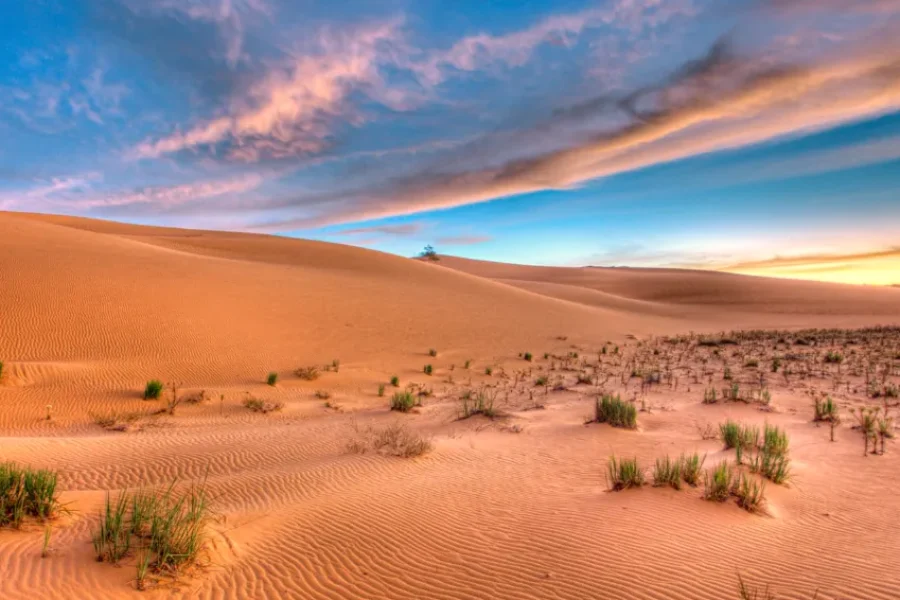 Goldene Dünen des Jalapão bei Sonnenuntergang, mit kleinen Büscheln einheimischer Vegetation, die aus dem Sand hervorragen, und einem dramatischen Himmel in Blau- und Orangetönen, im Bundesstaat Tocantins, Brasilien.