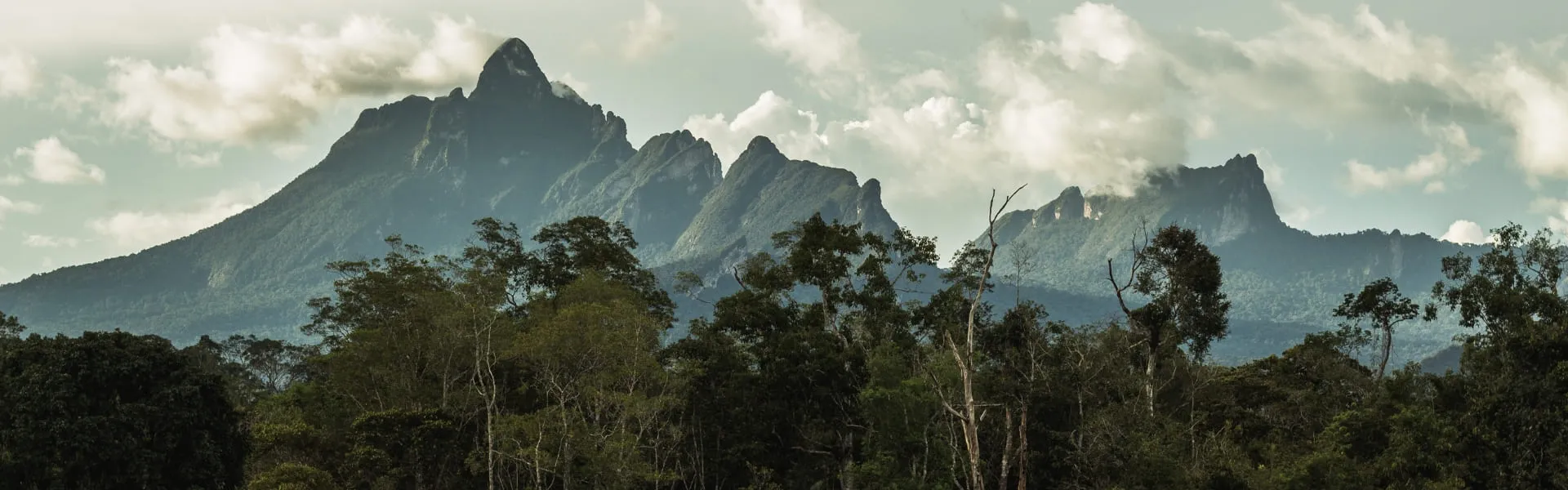Parc national du Pico da Neblina