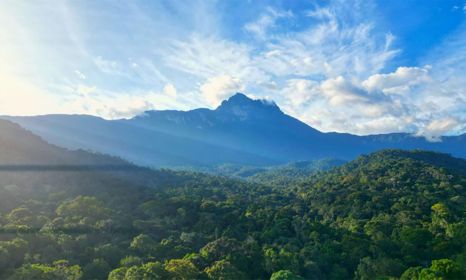 CV_Parque Pico Neblina_7