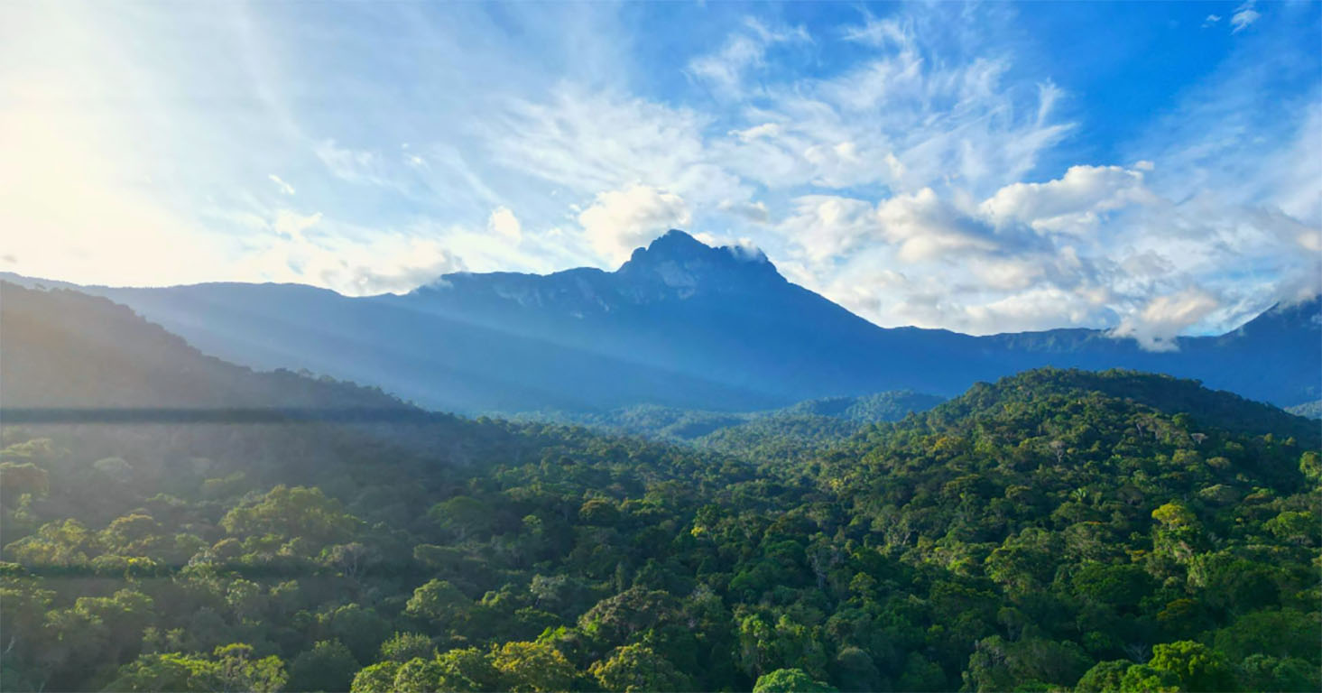 Pico da Neblina National Park