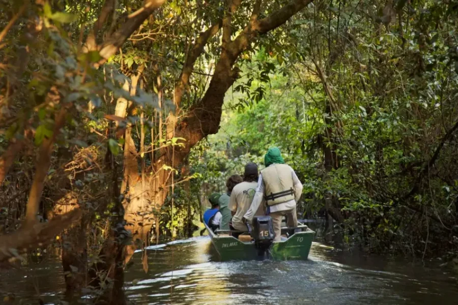 Grupo de viajeros en una canoa motorizada navegando por un estrecho canal de aguas oscuras entre la densa vegetación del Parque Estatal de Cantão, en una inmersión por el bosque inundado de Tocantins, Brasil.