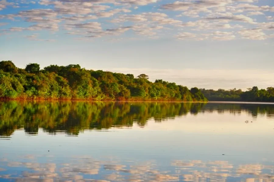 Reflet parfait de la forêt et du ciel nuageux dans les eaux calmes et miroitantes d'un lac du Parc Étatique de Cantão, à l'aube, dans le Tocantins, Brésil.