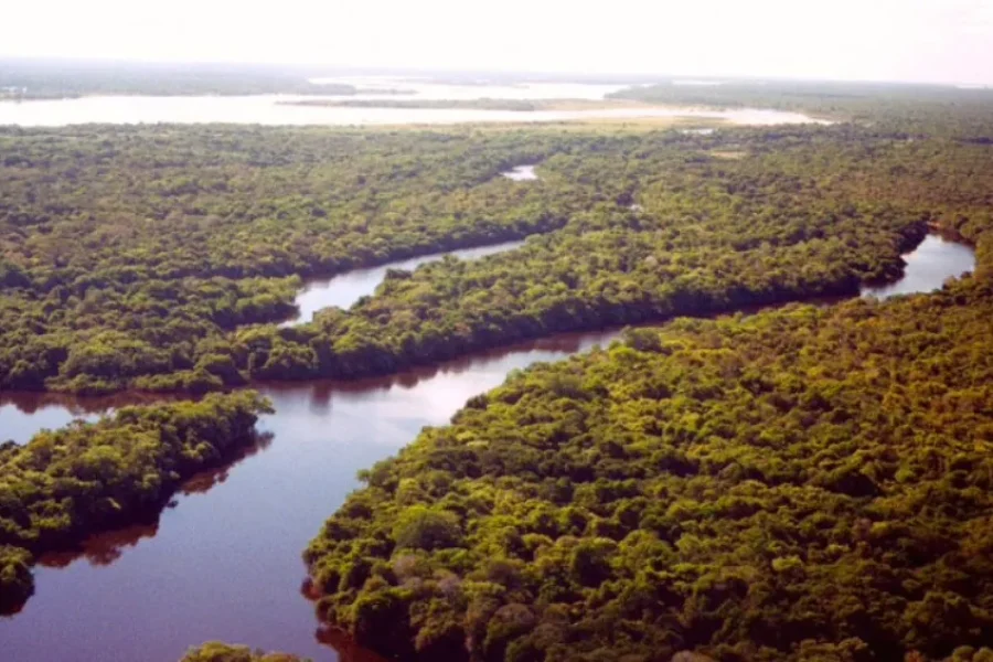 Aerial view of Cantão State Park in Tocantins, Brazil, showing a meandering river winding through dense Amazon rainforest canopy, with multiple water channels and flooded forest areas visible in the background.