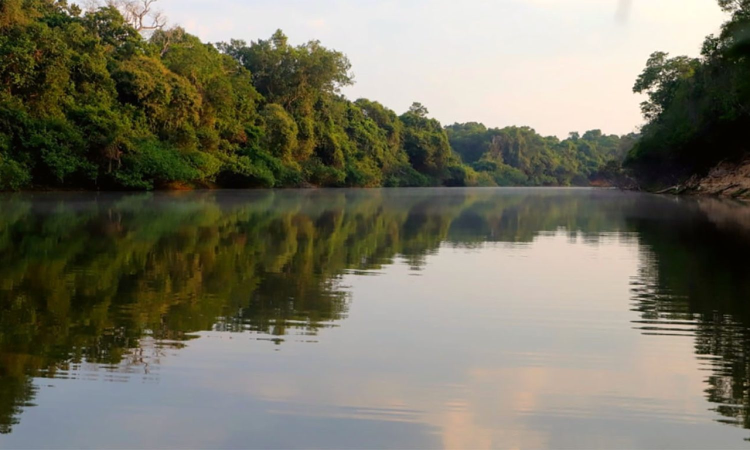 Cantão State Park: Biodiversity and Ecotourism in Tocantins, Brazil