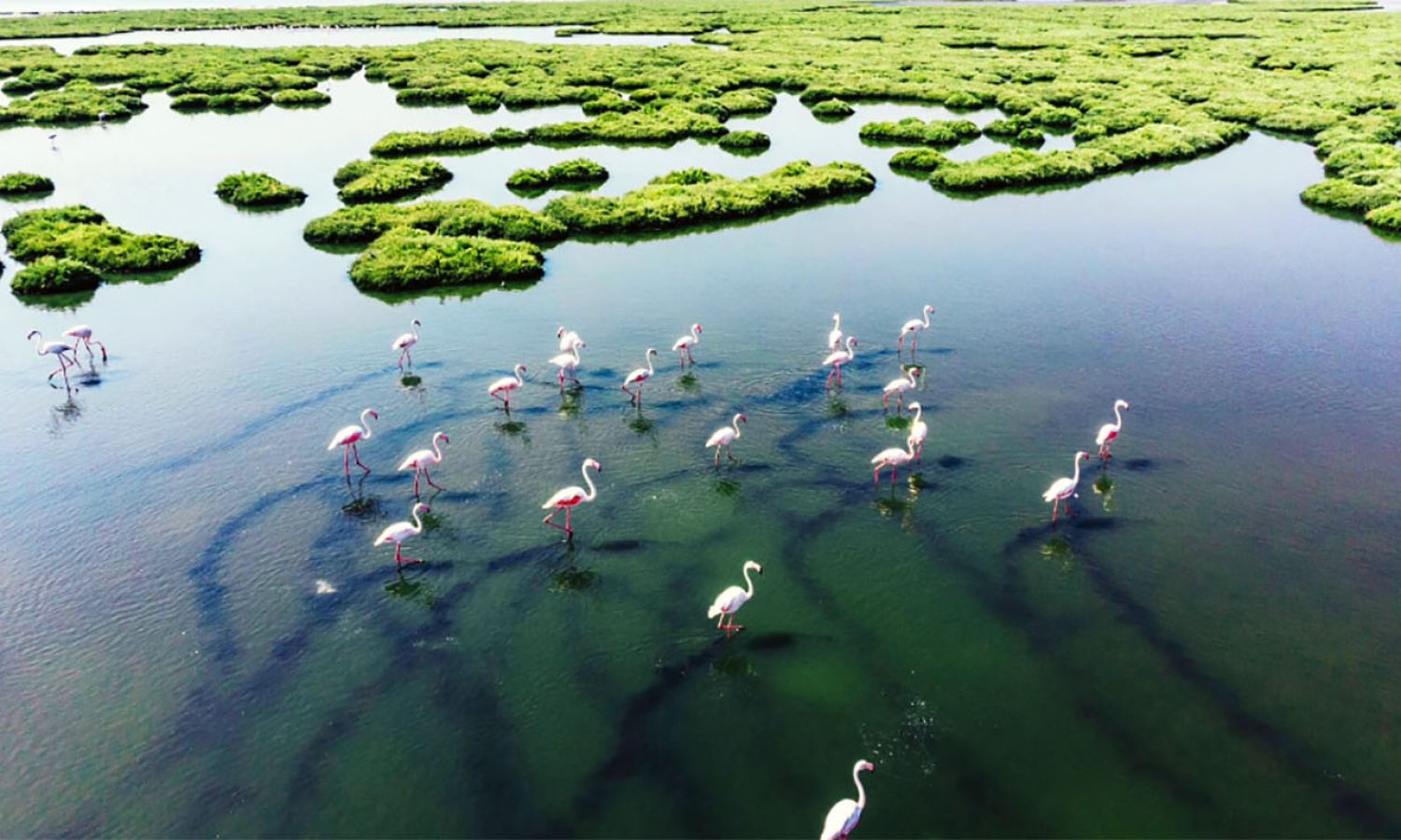 Encontro das Águas State Park: A jaguar haven and biodiversity hotspot in the Pantanal