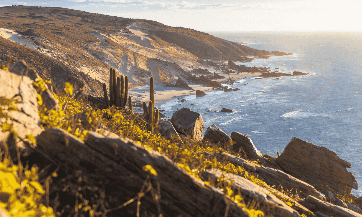Jericoacoara National Park: Dunes, lagoons, and breathtaking beaches in Ceará, Brazil