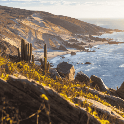 Jericoacoara National Park