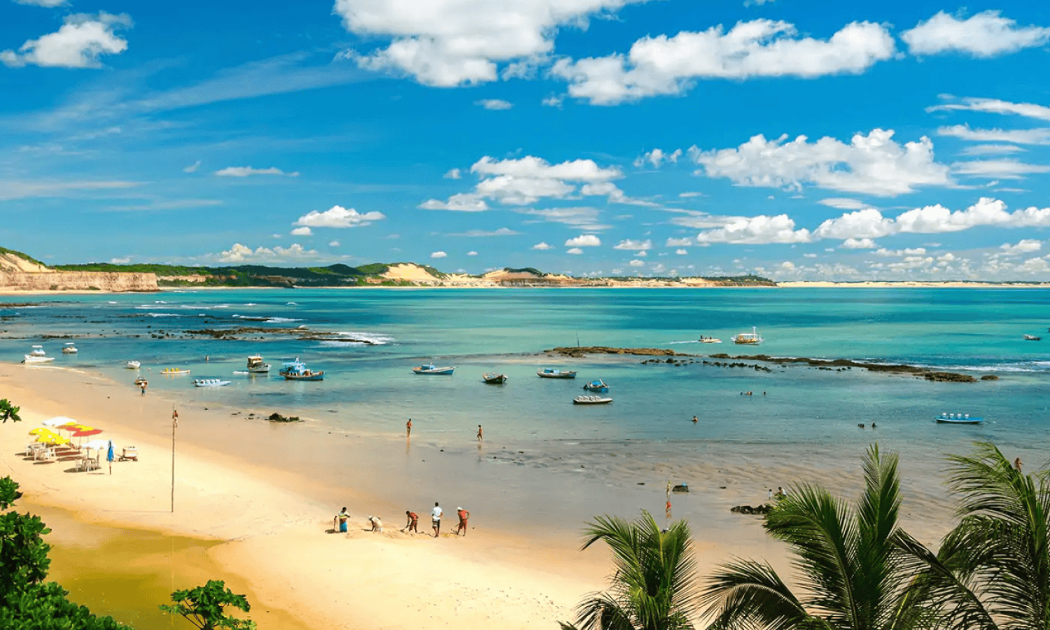 Pipa Village: A Northeastern Paradise with Stunning Beaches and Vibrant Culture