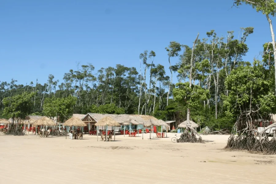 A white sand beach on Marajó Island with thatched kiosks and red chairs in the shade, flanked by mangrove trees and dense Amazonian vegetation under a blue sky, in Pará, Brazil.