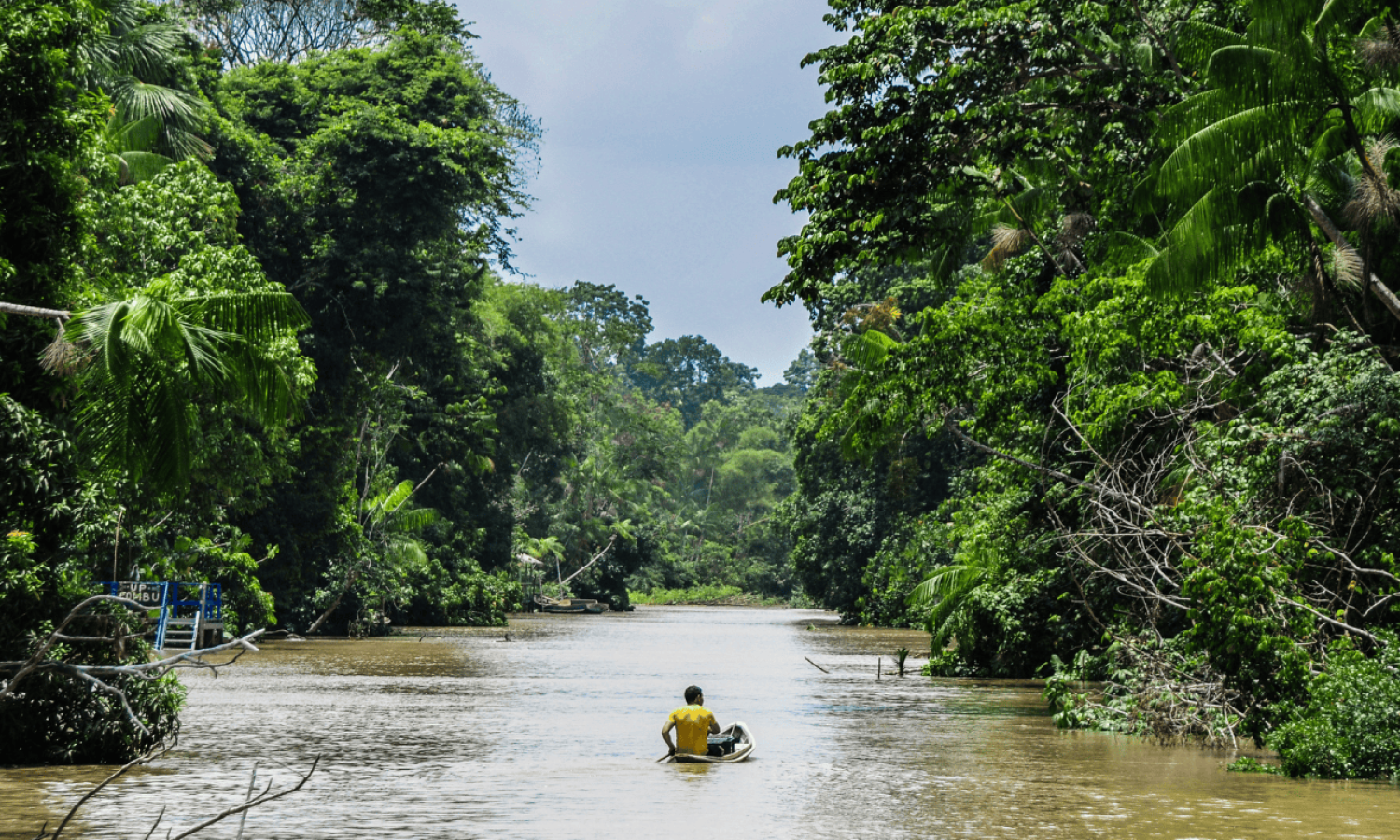CV_APA Ilha do Combu_4
