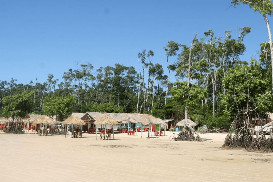 Belém to Marajó Expedition in the Amazon: riverside culture and lush nature
