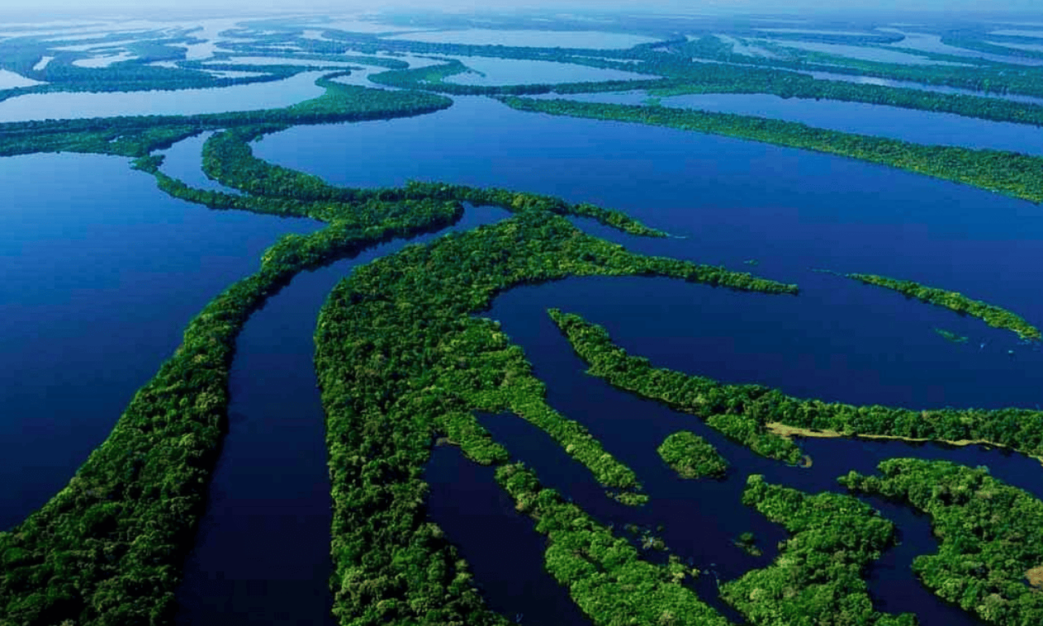 Aerial view of Anavilhanas National Park in Amazonas State, featuring river islands covered in Amazon rainforest and the channels of the Rio Negro forming the world’s largest river archipelago.