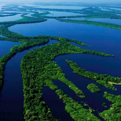 Anavilhanas National Park