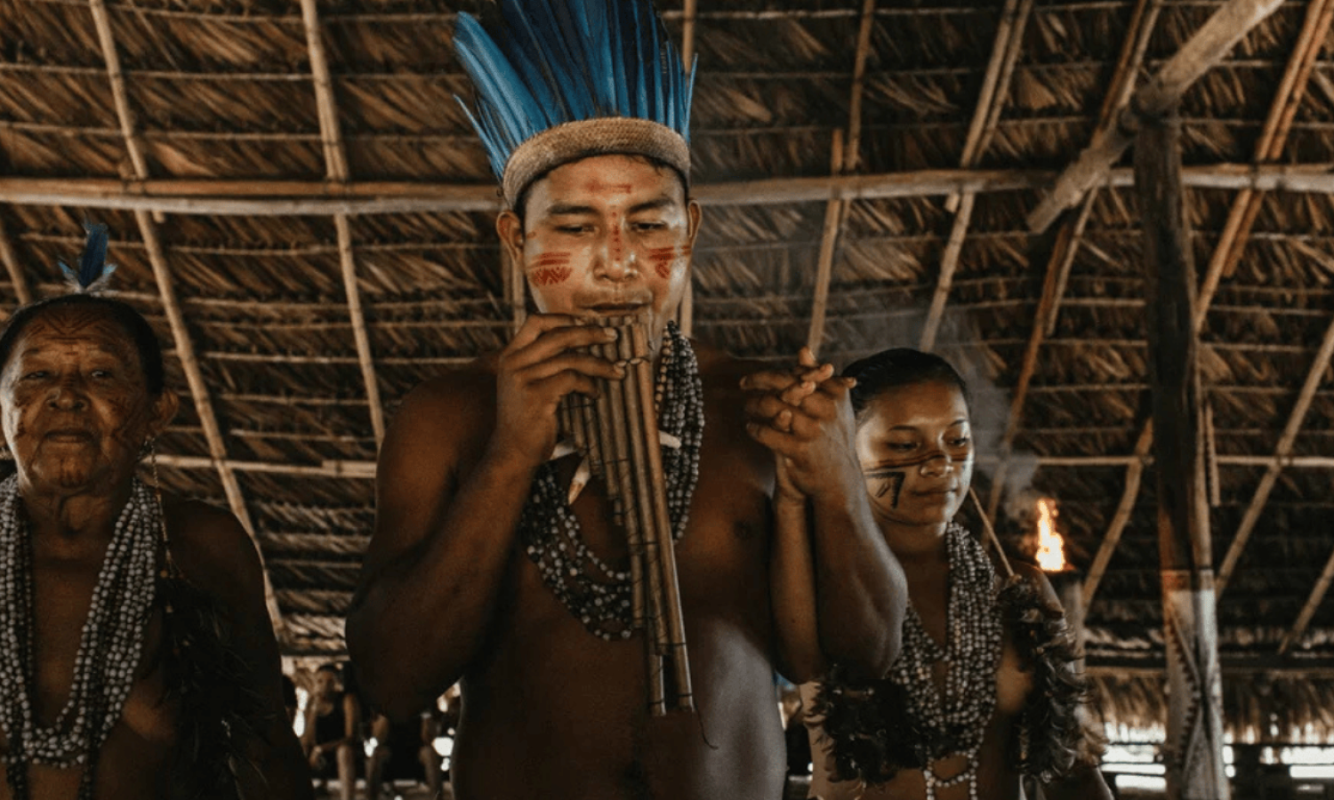 CV_Comunidade_Cipia_4